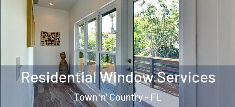  Residential Window Services Town 'n' Country - FL