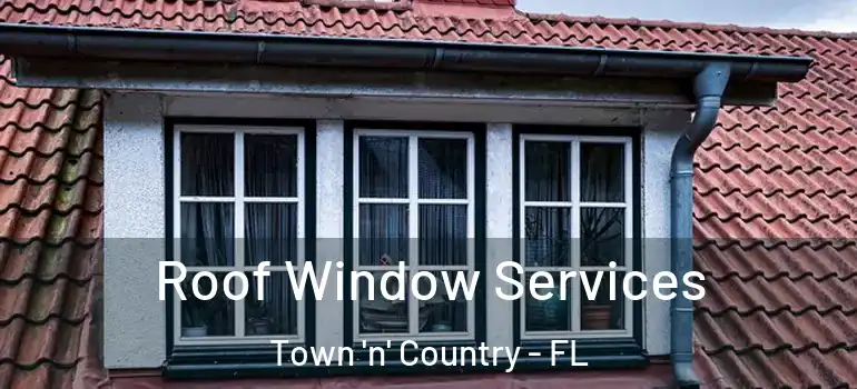  Roof Window Services Town 'n' Country - FL