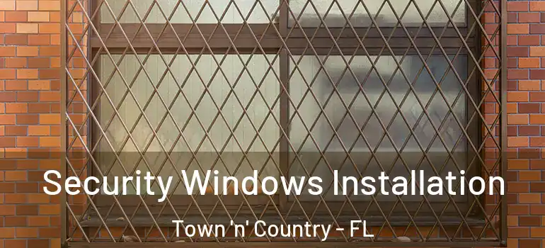  Security Windows Installation Town 'n' Country - FL