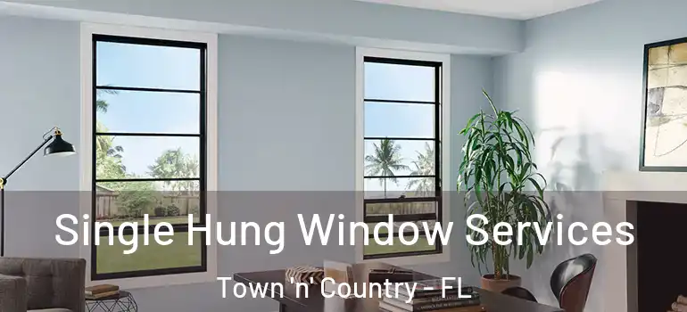  Single Hung Window Services Town 'n' Country - FL