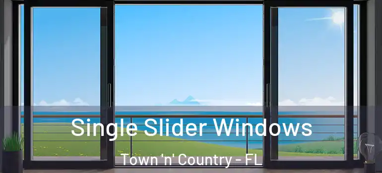  Single Slider Windows Town 'n' Country - FL