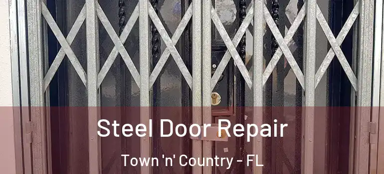  Steel Door Repair Town 'n' Country - FL