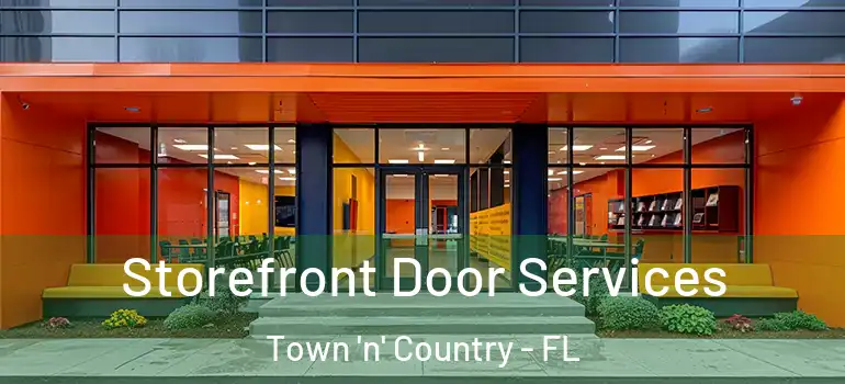  Storefront Door Services Town 'n' Country - FL