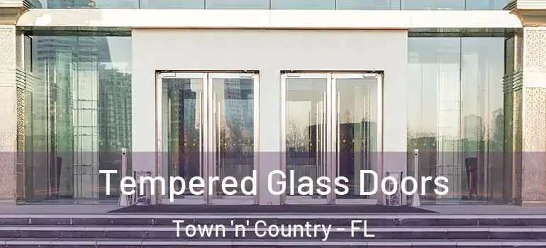  Tempered Glass Doors Town 'n' Country - FL