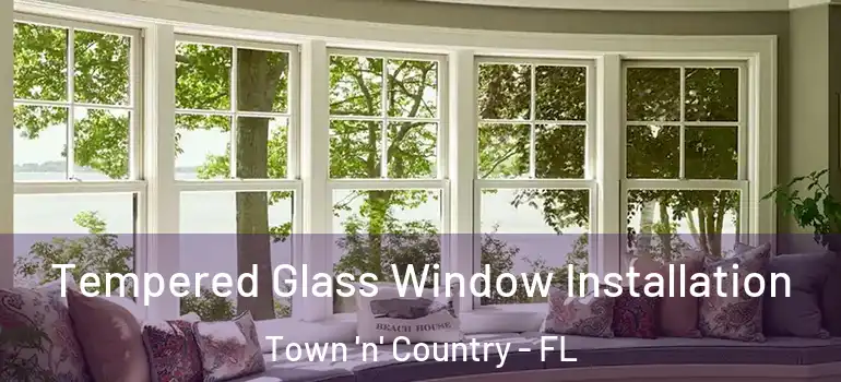  Tempered Glass Window Installation Town 'n' Country - FL
