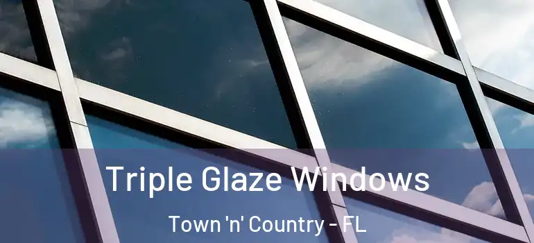  Triple Glaze Windows Town 'n' Country - FL
