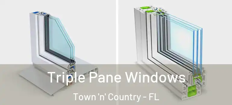  Triple Pane Windows Town 'n' Country - FL