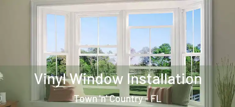  Vinyl Window Installation Town 'n' Country - FL