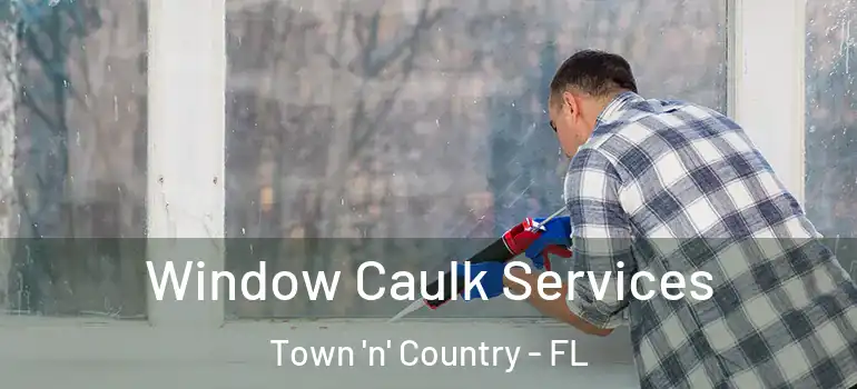  Window Caulk Services Town 'n' Country - FL