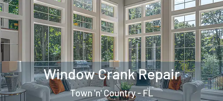  Window Crank Repair Town 'n' Country - FL