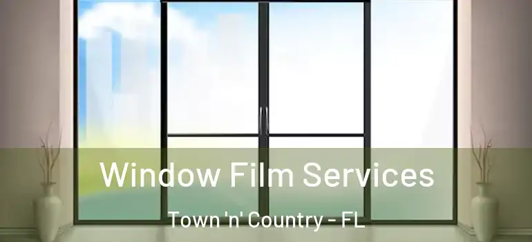  Window Film Services Town 'n' Country - FL