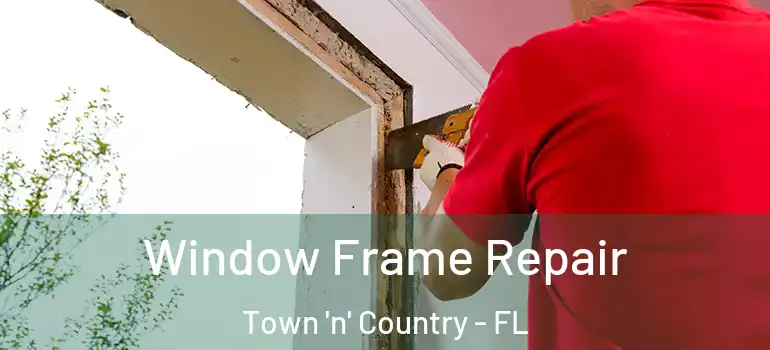  Window Frame Repair Town 'n' Country - FL