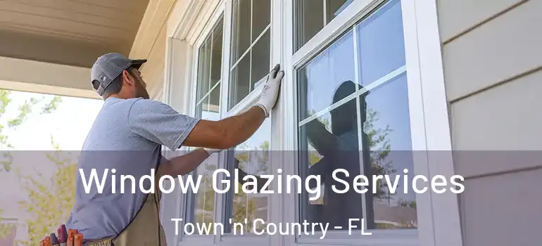  Window Glazing Services Town 'n' Country - FL
