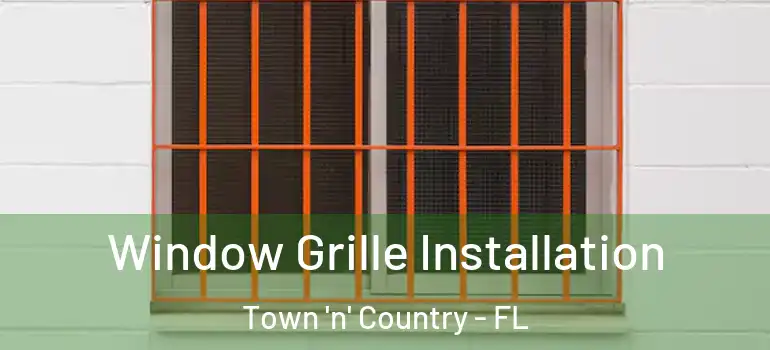  Window Grille Installation Town 'n' Country - FL