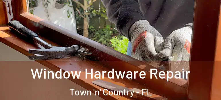 Window Hardware Repair Town 'n' Country - FL