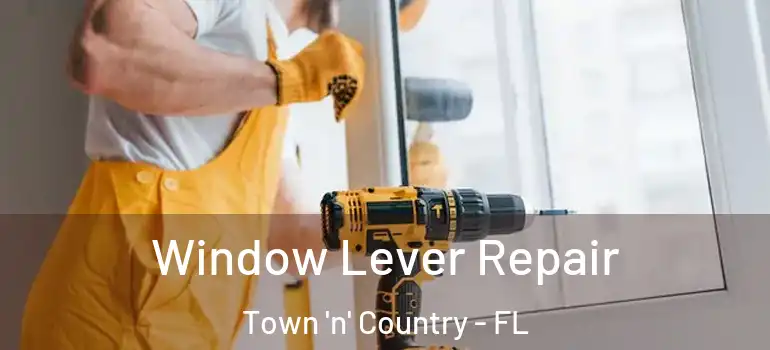  Window Lever Repair Town 'n' Country - FL