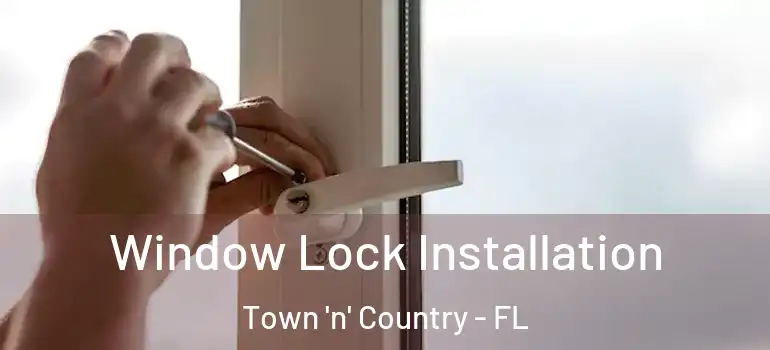 Window Lock Installation Town 'n' Country - FL