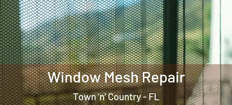  Window Mesh Repair Town 'n' Country - FL