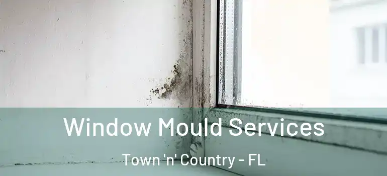 Window Mould Services Town 'n' Country - FL