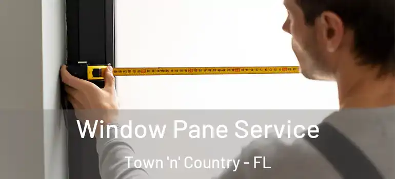  Window Pane Service Town 'n' Country - FL