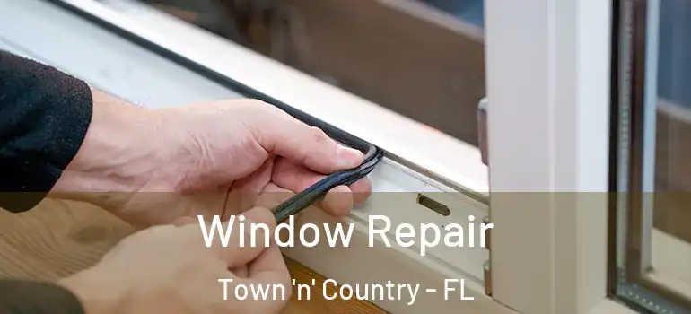  Window Repair Town 'n' Country - FL