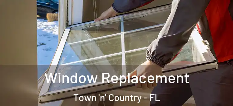  Window Replacement Town 'n' Country - FL