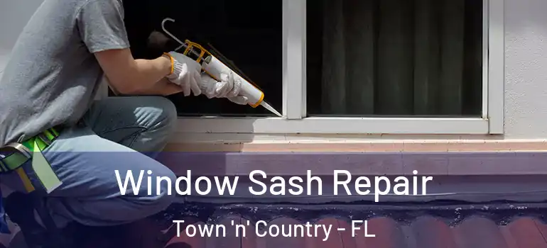  Window Sash Repair Town 'n' Country - FL