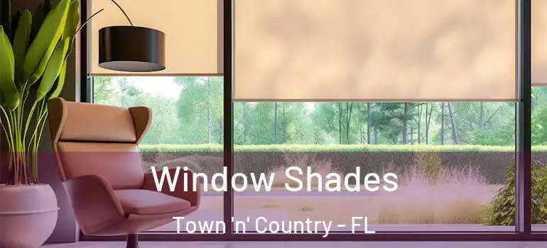  Window Shades Town 'n' Country - FL