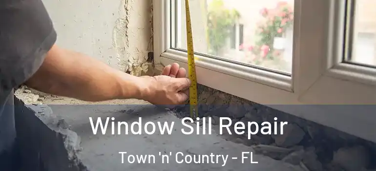  Window Sill Repair Town 'n' Country - FL
