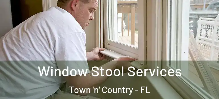  Window Stool Services Town 'n' Country - FL