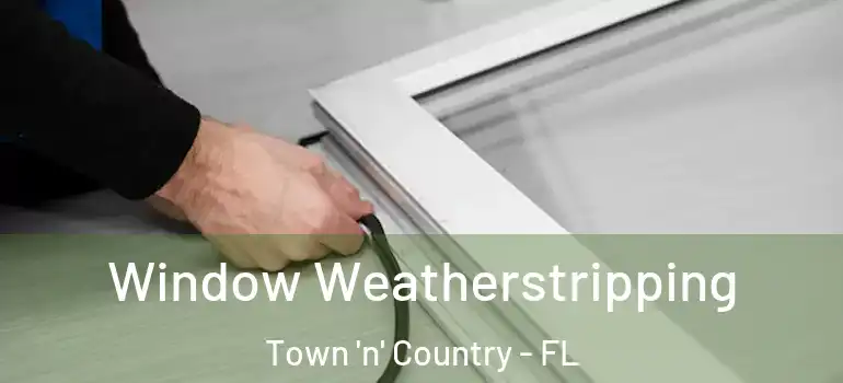  Window Weatherstripping Town 'n' Country - FL