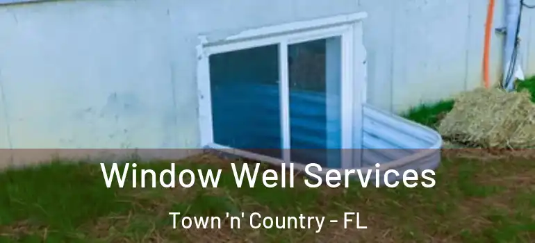  Window Well Services Town 'n' Country - FL
